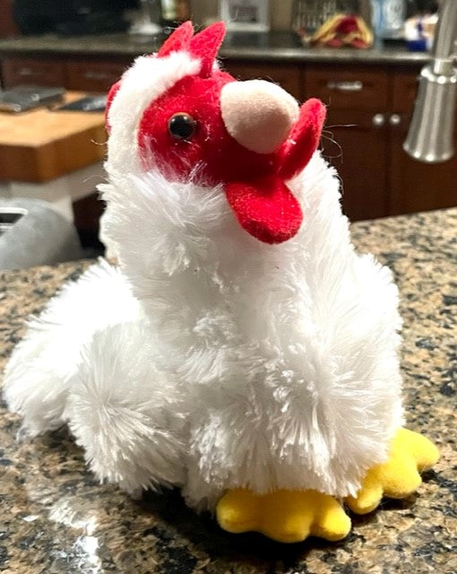 Cutest Chicken